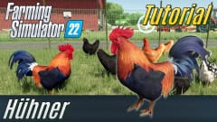LS22 Tutorial: Hühner