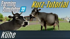 LS22 Kurz-Tutorial: Kühe
