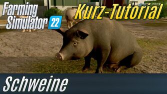LS22 Kurz-Tutorial: Schweine